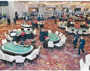 ldsports乐动app下载电脑免费版